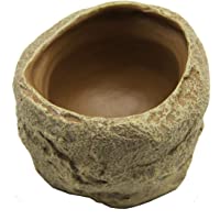 Los mejores  - Reptiles Planet - Cuenco comedero para Tortugas o Reptiles Repti Dish M Profond 12 x 11-5 x 8 cm